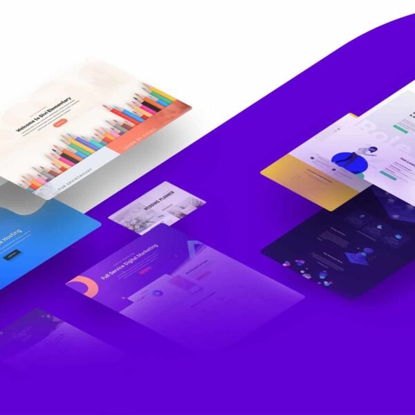 Divi theme