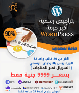 حزمة المطورين